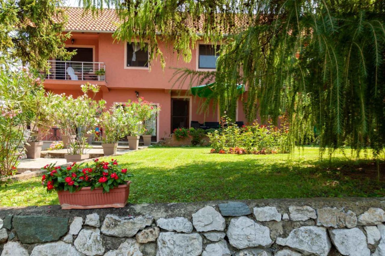 Studio 1 Golubăţ Exterior foto